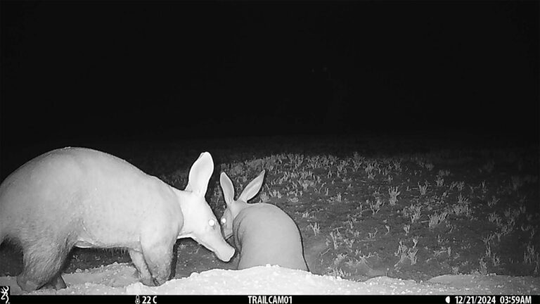 Gallery_0000_IMG_0101