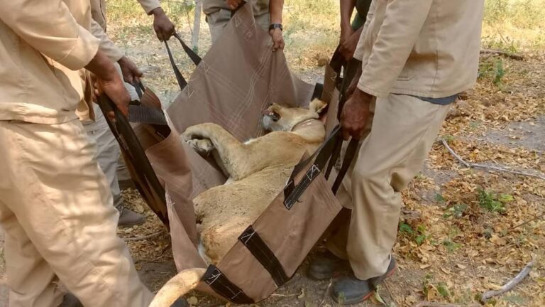 Gallery_0000_WhatsApp Image 2020-10-03 at 4.38