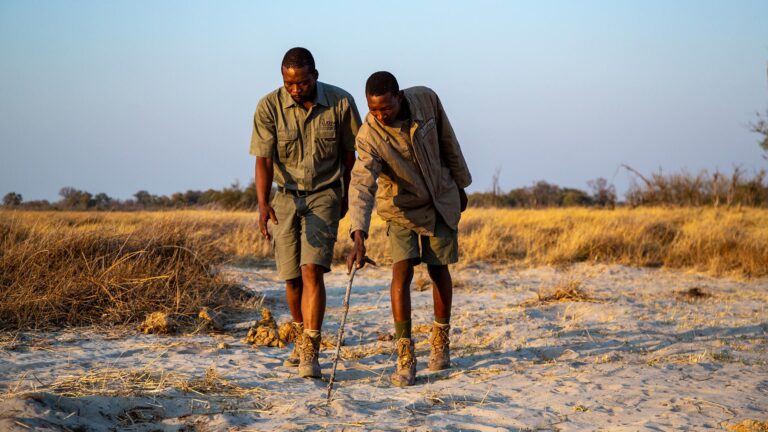 Gallery_0001_High Res Martin Harvey073