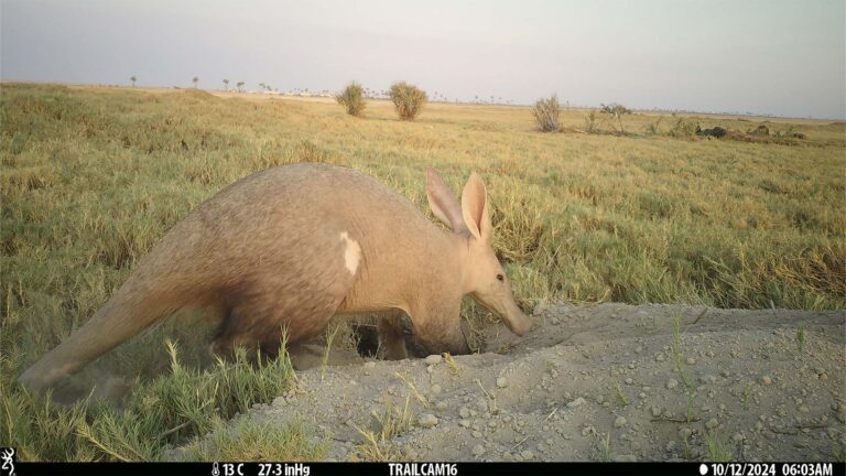 Gallery_0001_IMG_0257