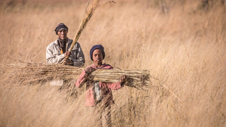 Gallery_0001_Natural Selection Photos - copyright Scott Ramsay-473