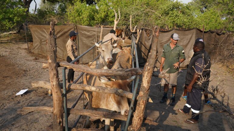 Gallery_0002_DSC08749