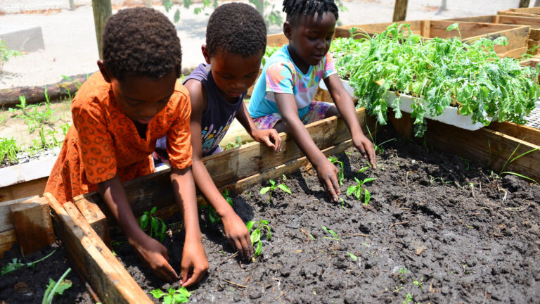 Gallery_0002_DSC_7716