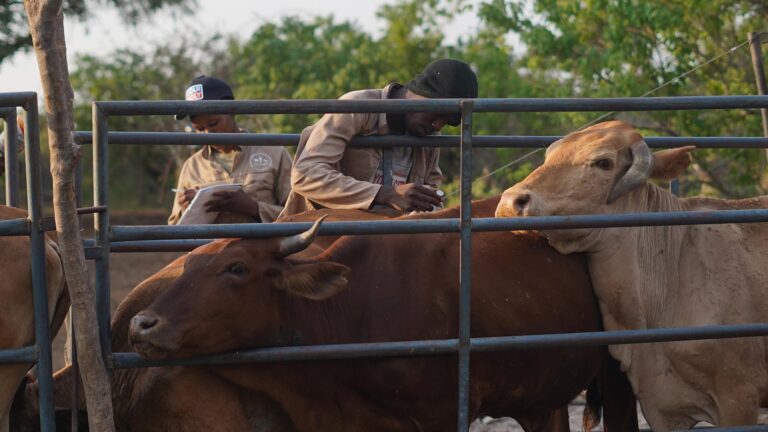 Gallery_0003_DSC08726