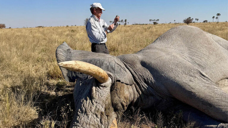 Gallery_0003_grass 2