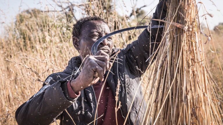 Gallery_0004_Natural Selection Photos - copyright Scott Ramsay-477