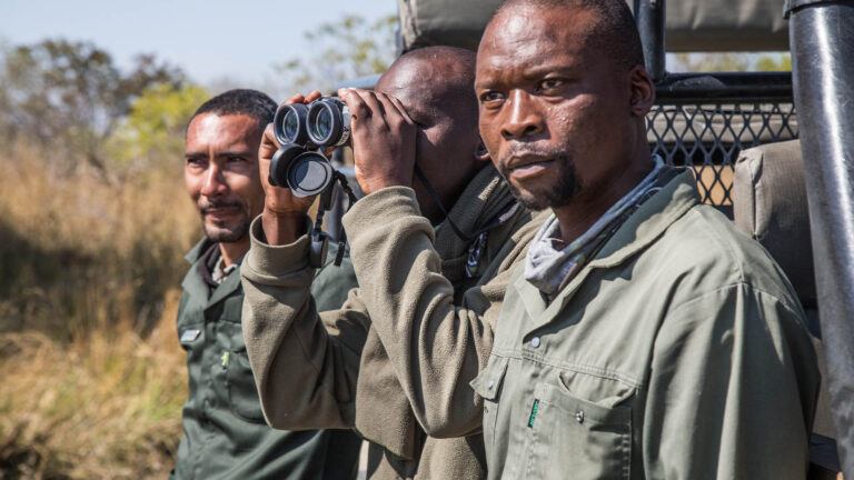 Gallery_0004_Scott Ramsay Photos - Khwai-65