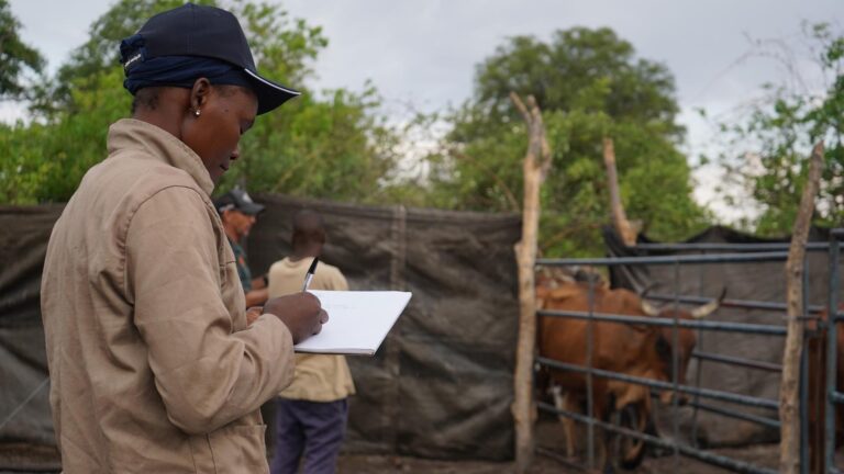 Gallery_0005_DSC08560