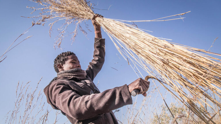 Gallery_0006_Natural Selection Photos - copyright Scott Ramsay-485