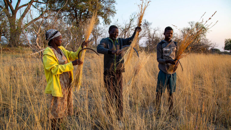 Gallery_0007_High Res Martin Harvey031