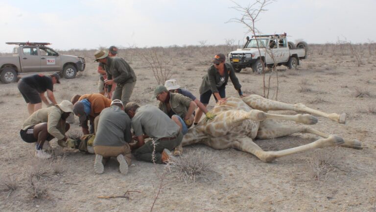 Gallery_0008_IMG_0662