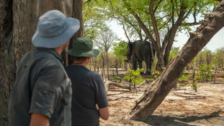 KPR Wildlife Monitoring Gallery 1