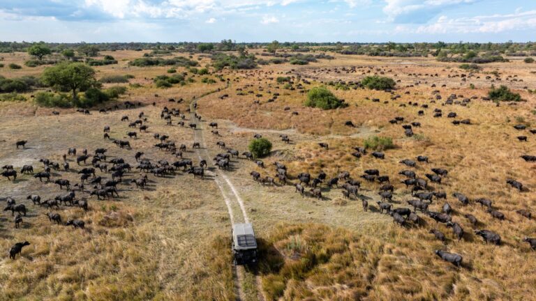 KPR Wildlife Monitoring Gallery 2