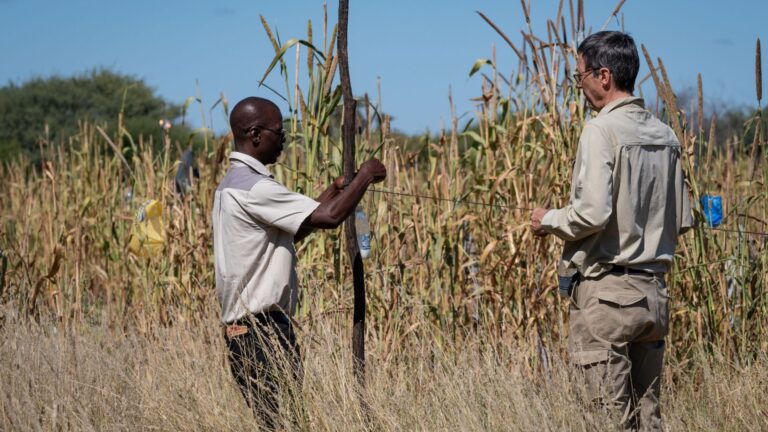 BioBoundary Gallery 3