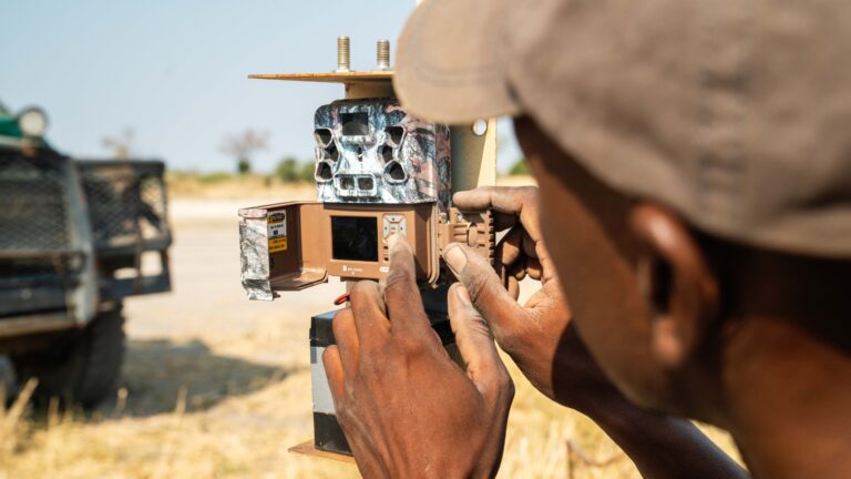 BioBoundary Project Gallery 1