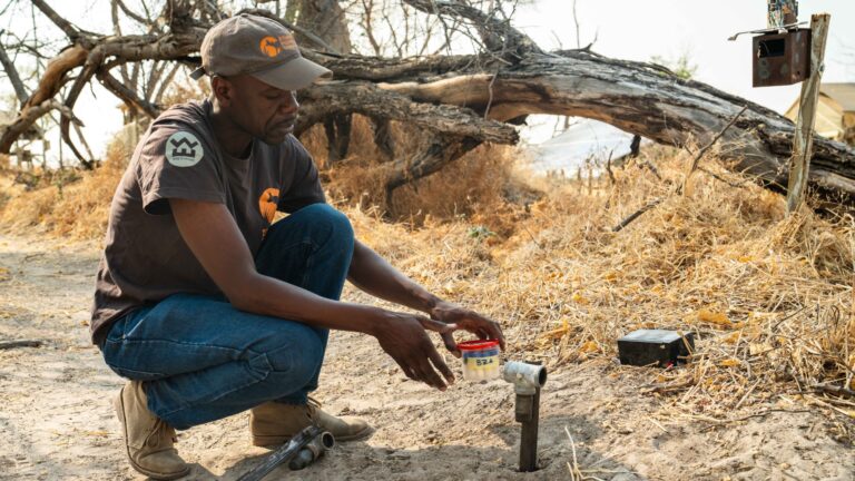 BioBoundary Project Gallery 2