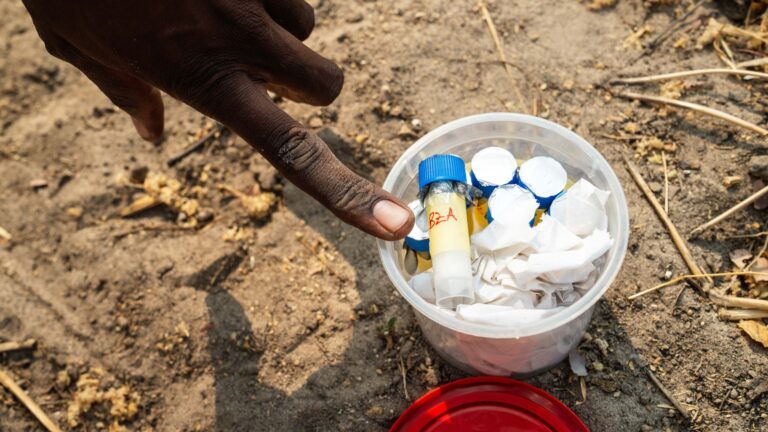 BioBoundary Project Gallery 4