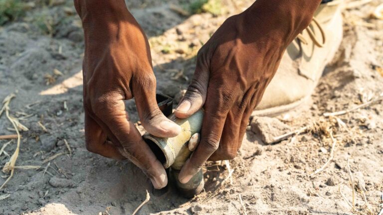 BioBoundary Project Gallery 5