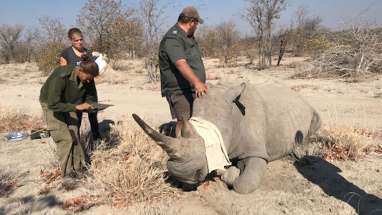 Gallery_0000_Picture 1