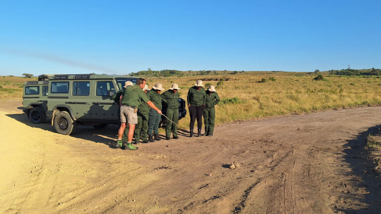 Gallery_0000_tracking 20250529_082310