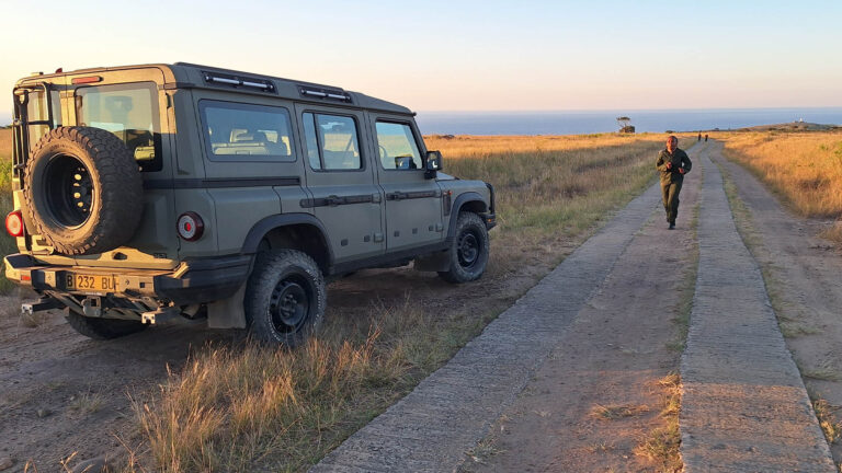 Gallery_0001_green griffons may 2025 20250529