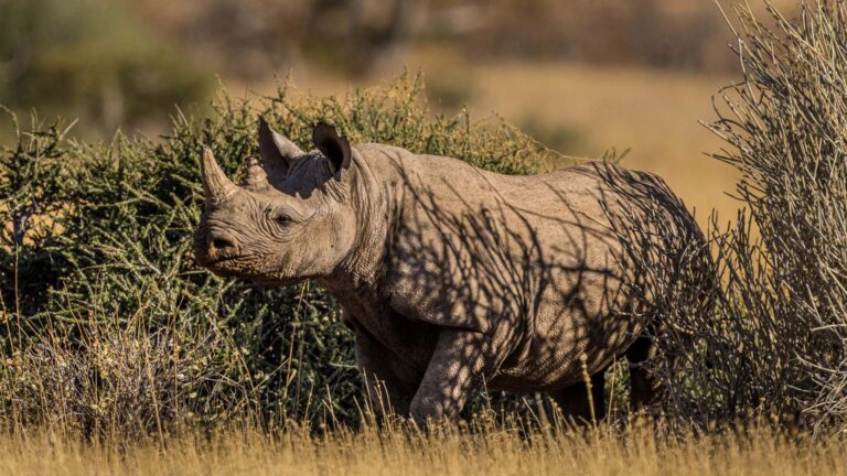 Gallery_0003_20220921-MW306219