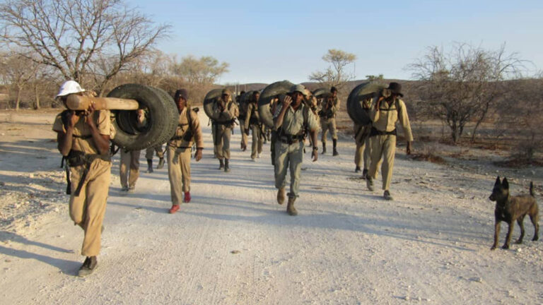 Gallery_0004_IMG-20230913-WA0006