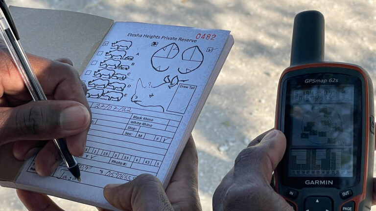 Gallery_0006_IMG_4927