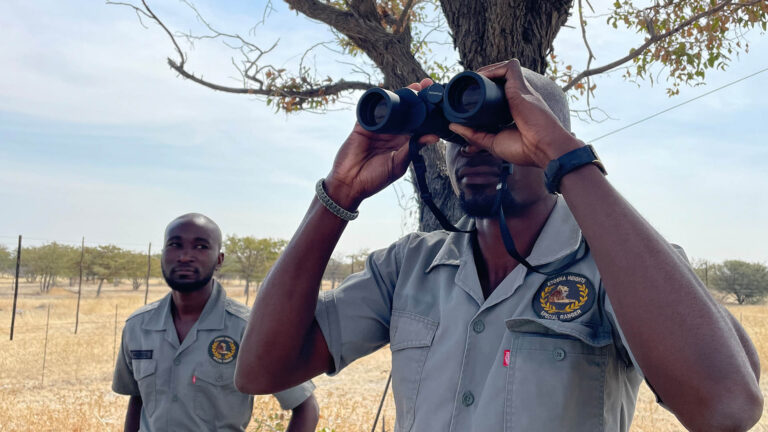 Gallery_0007_IMG_4905