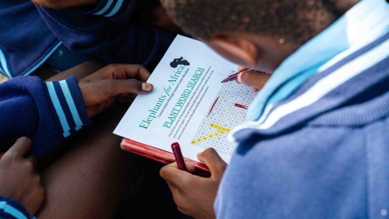 Conservation Education Gallery 3