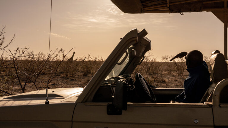 Gallery_0000_Namibia_EtoshaHeightsPrivateReserve_GameDrive_Giraffe_AntonCrone_L4