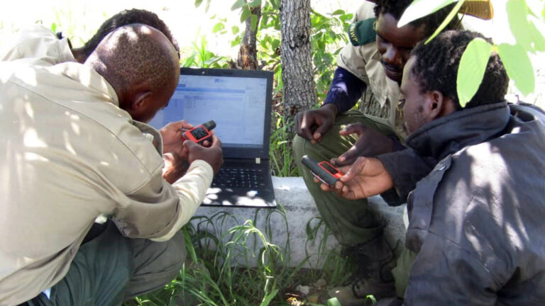 Gallery_0005_Layer 1