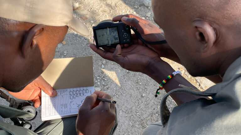 Gallery_0007_IMG_4923