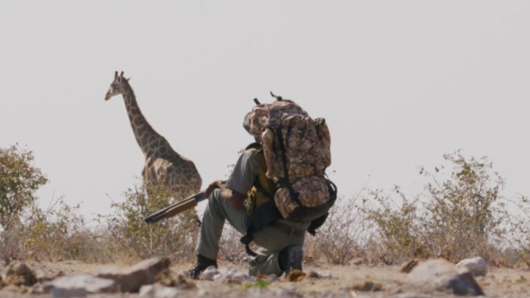 Gallery_0008_Screenshot 2026-01-08 at 13.18