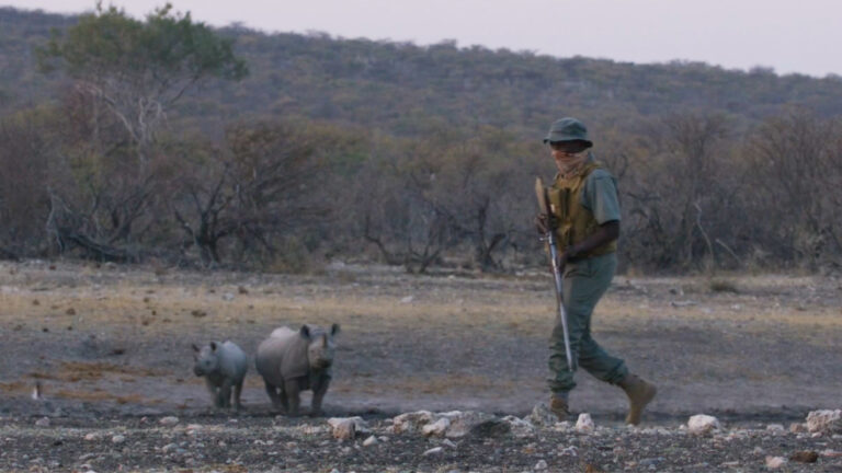 Gallery_0009_Screenshot 2026-01-08 at 13.17