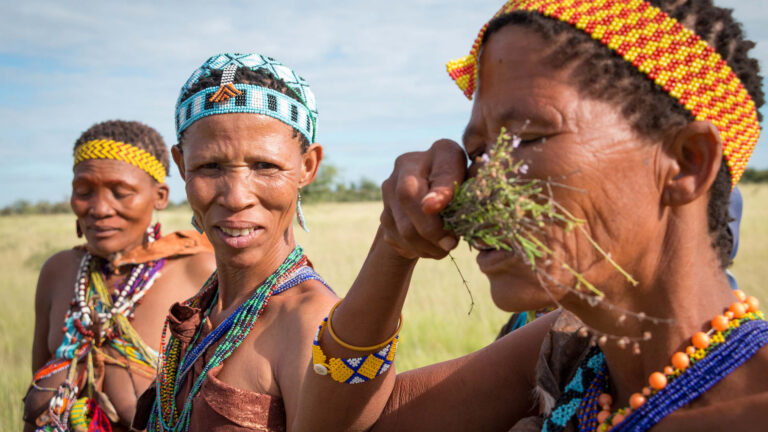 Gallery_0000_Makgadikgadi - Bushmen ladies 1