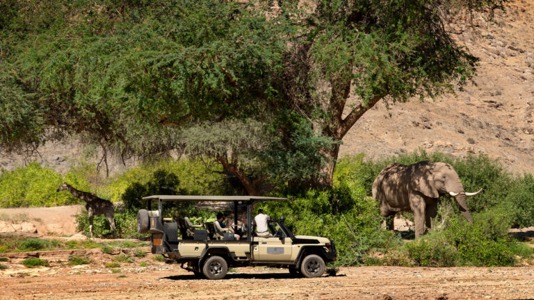 Gallery_0001_Hoanib_Game_drive_07